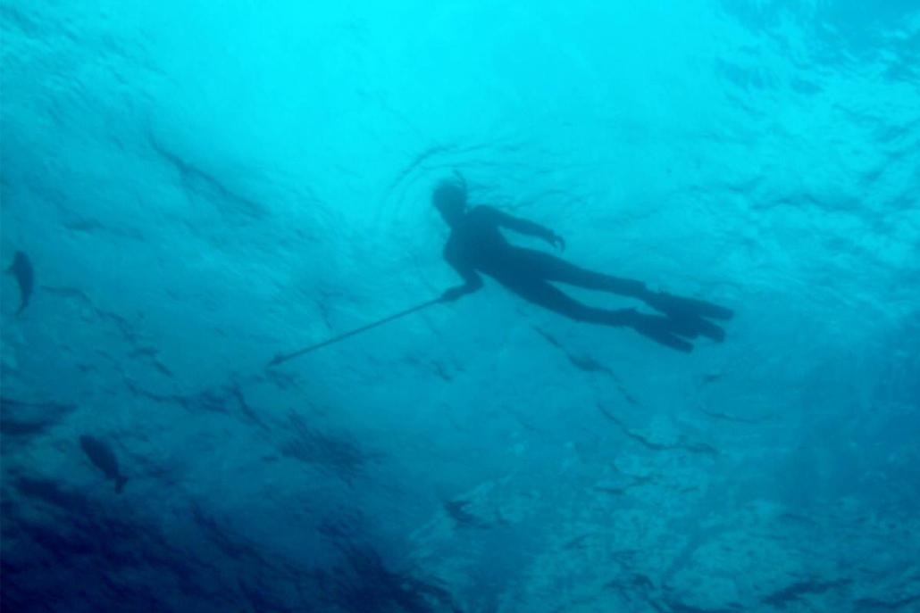 Person snorkeling holding a spear in the ocean