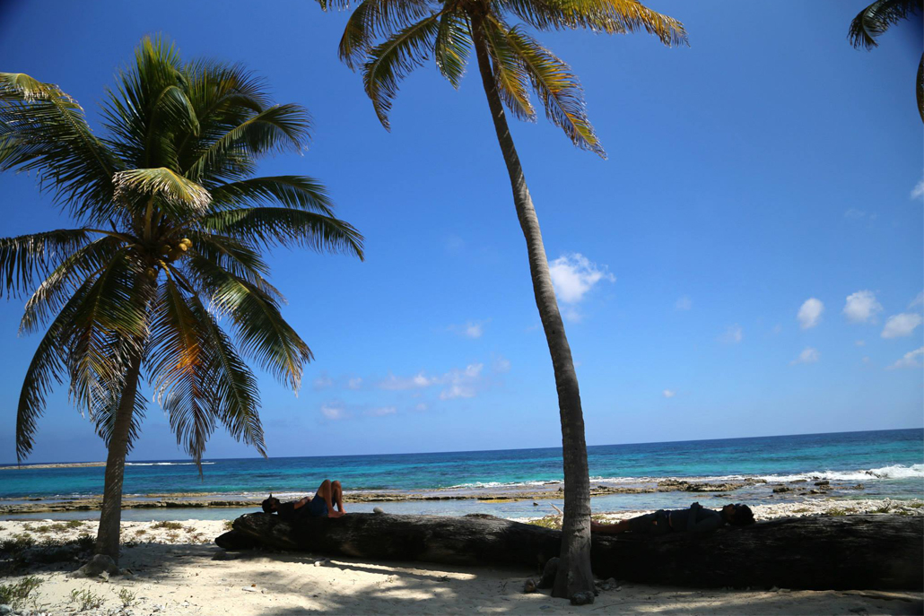 Two people laying on fallen palm tree on shore of beach