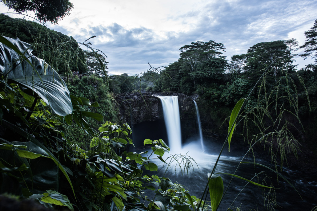 ﻿Plants and leaves with Hawaiian waterfall in background