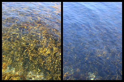 polarized filters