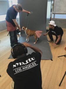 LA Animal Services 2018