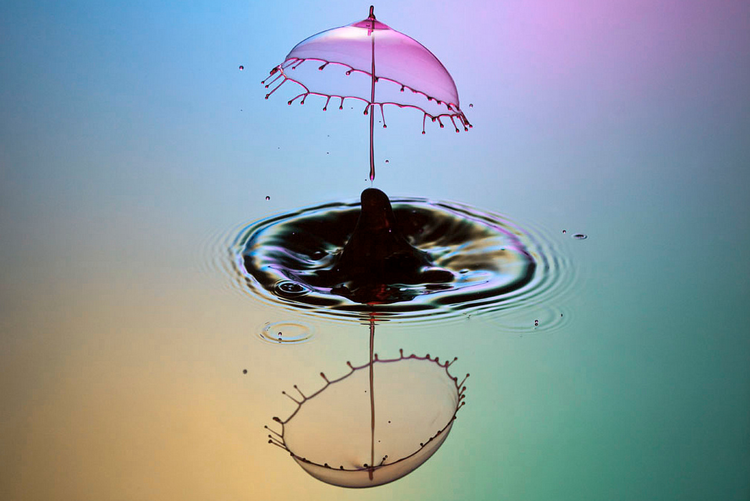 Photo by Corrie White