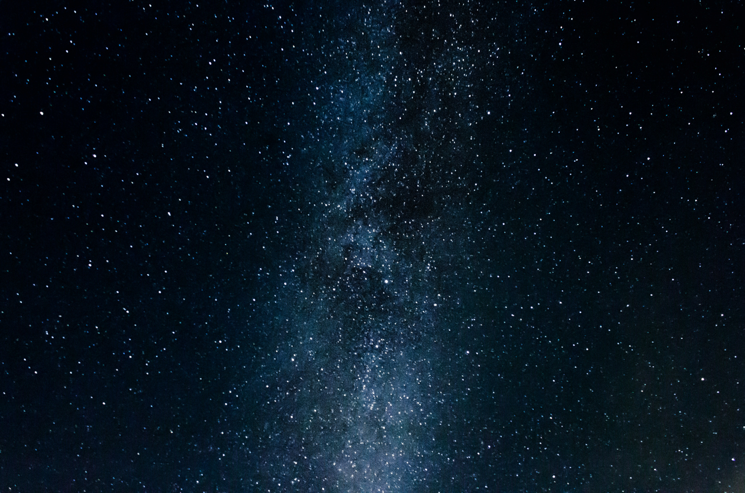 Photograph by Eivind Sorgenfryd
