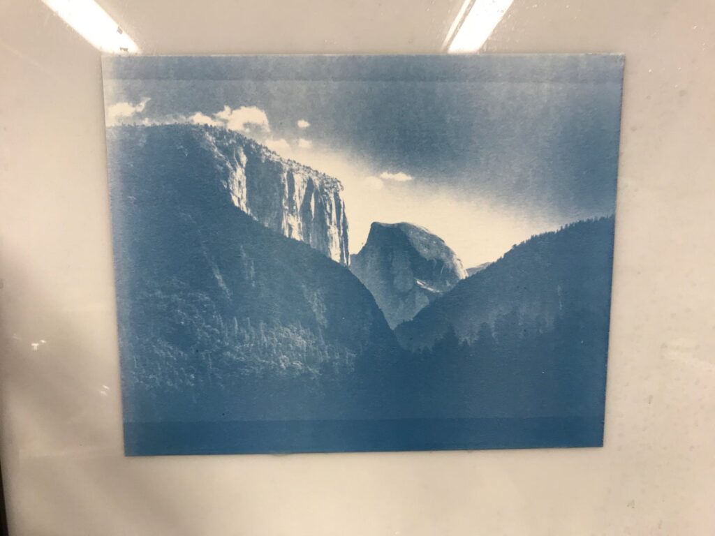 Cyanotype