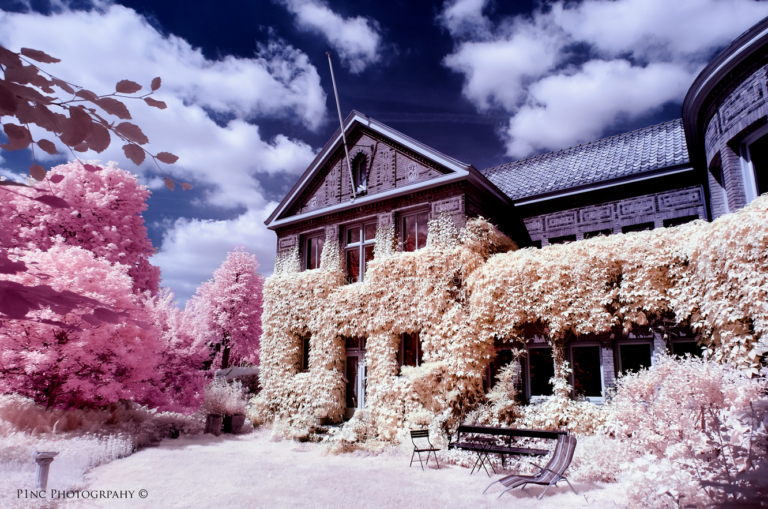 Learn How To Take Infrared Photography