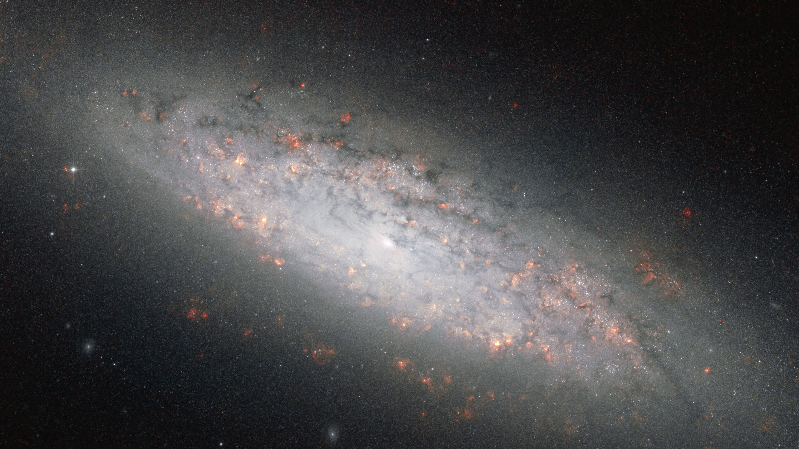 NGC 6503 HST