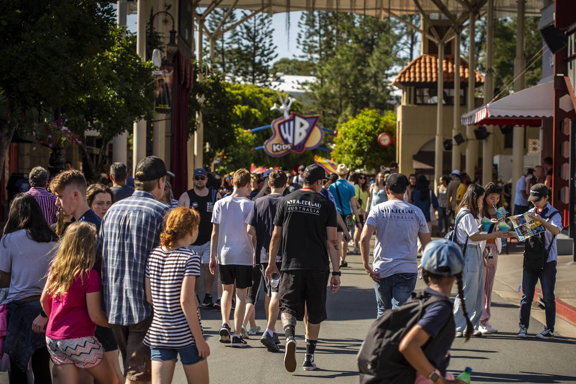 Movie World Theme Park Transfers