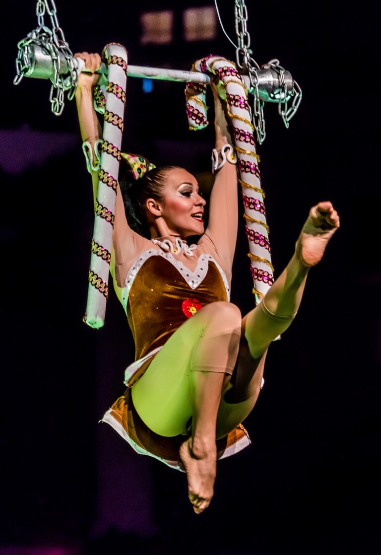 Unique Opportunities For Dancers: The Marriage Of Dance And Circus Arts
