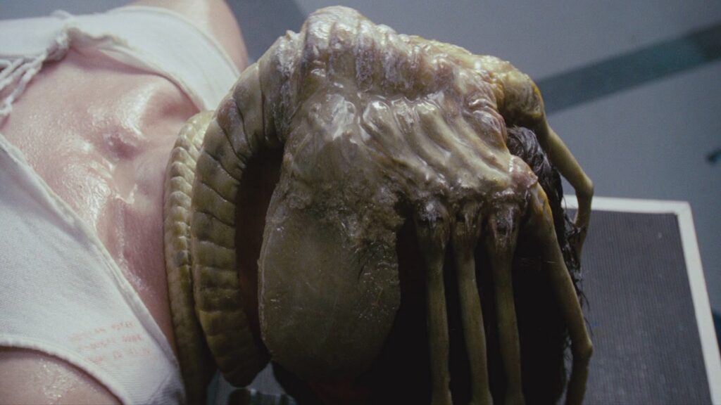 H.R. Giger designed facehugger from the movie Alien