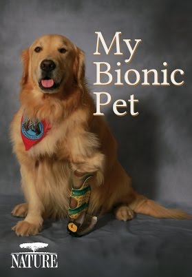 My Bionic Pet movie poster