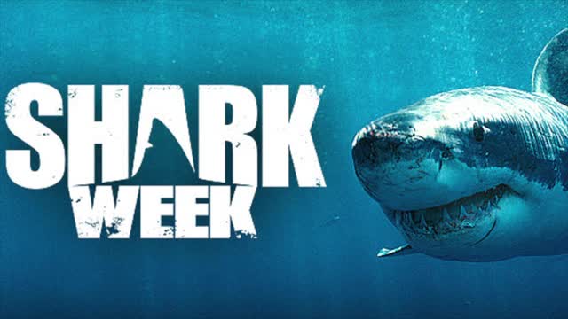 Shark Week megalodon