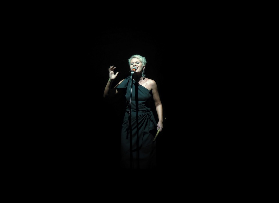 singer-579923_960_720