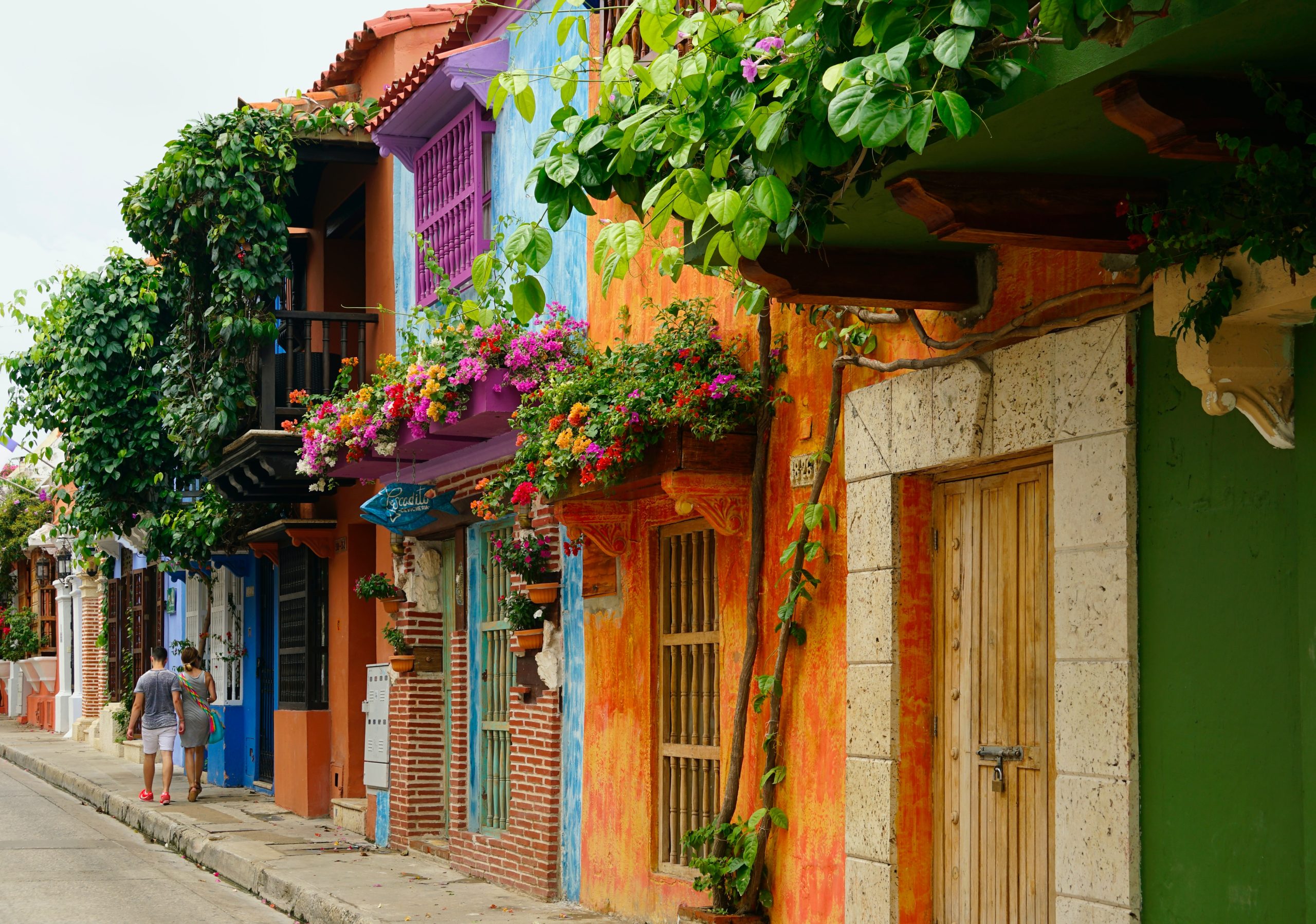 New York Film Academy in Colombia: A Week of Cinematic Exploration and Opportunity