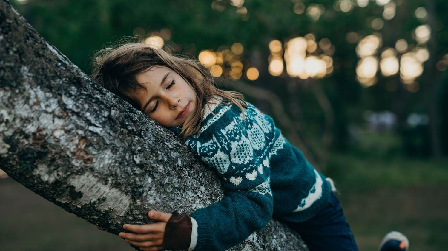 a new kind of wilderness